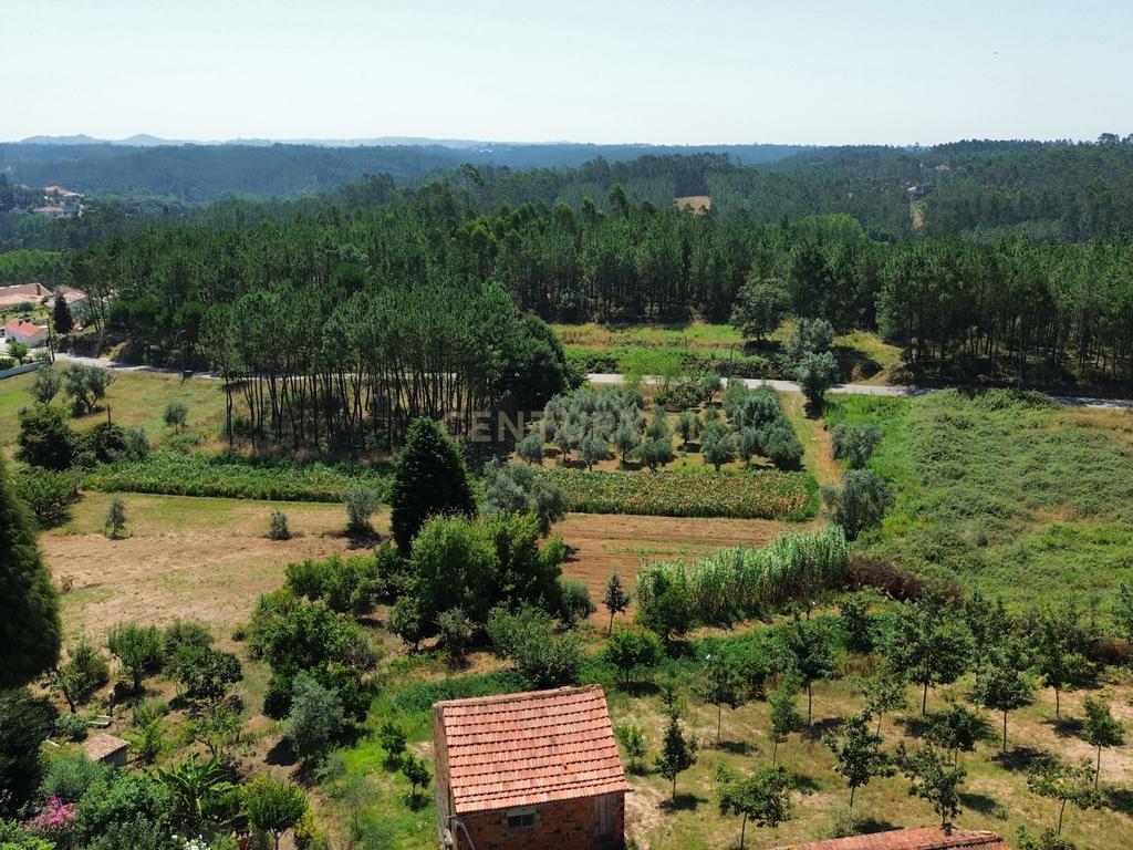 Terreno com 2020m2 para construção em Carnide - Image 23