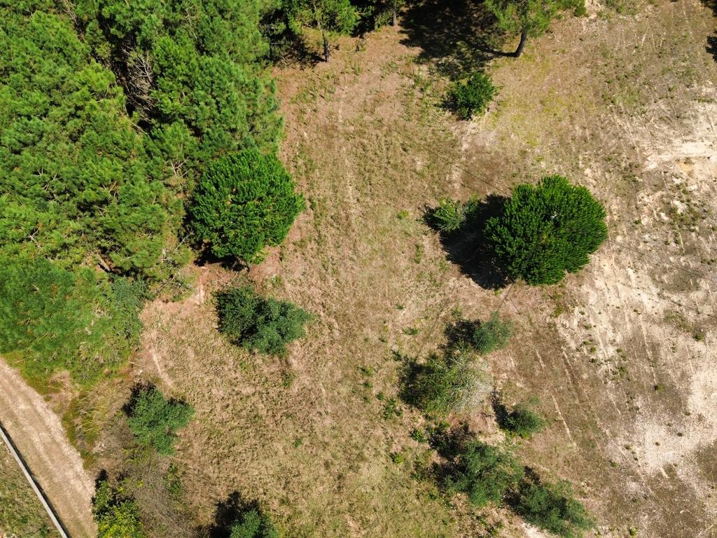 Terreno com 2020m2 para construção em Carnide - Image 14