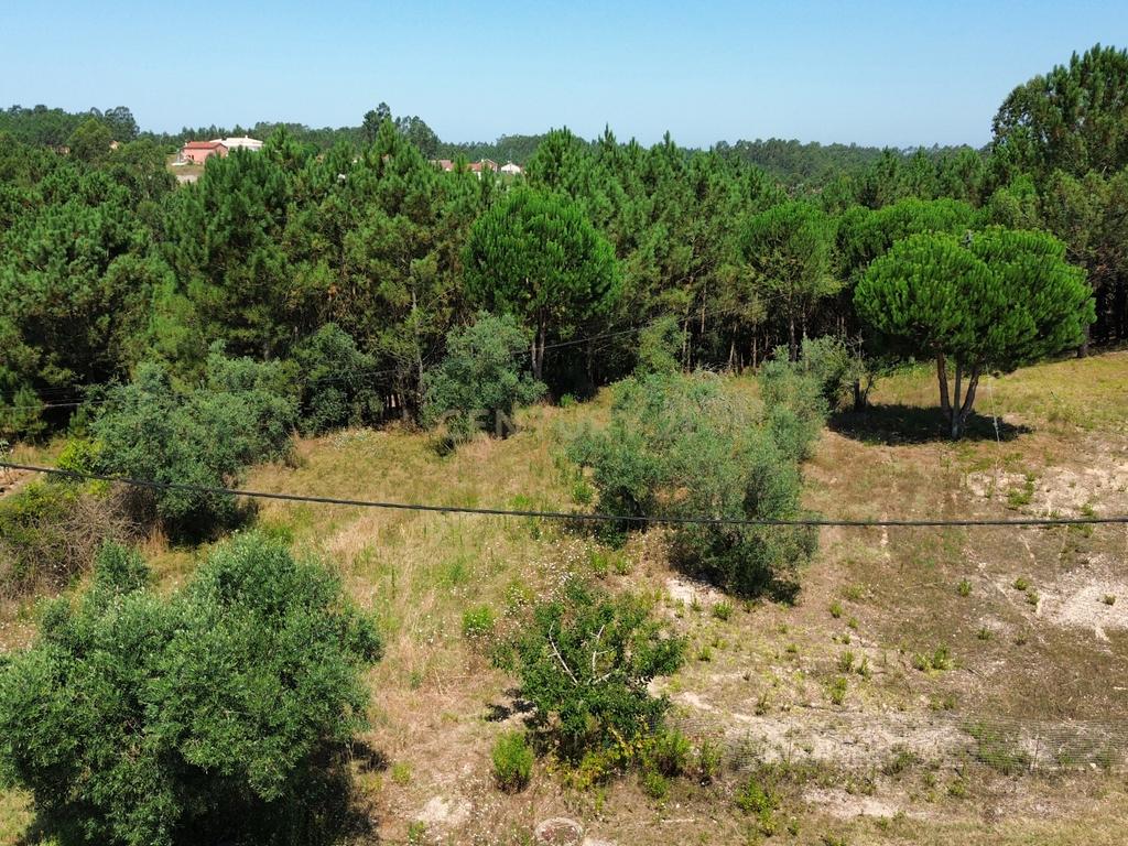 Terreno com 2020m2 para construção em Carnide - Image 54
