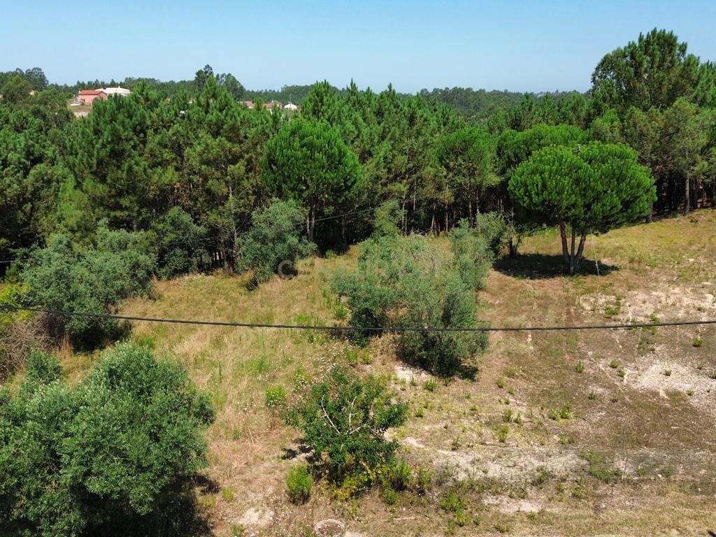 Terreno com 2020m2 para construção em Carnide - Image 18