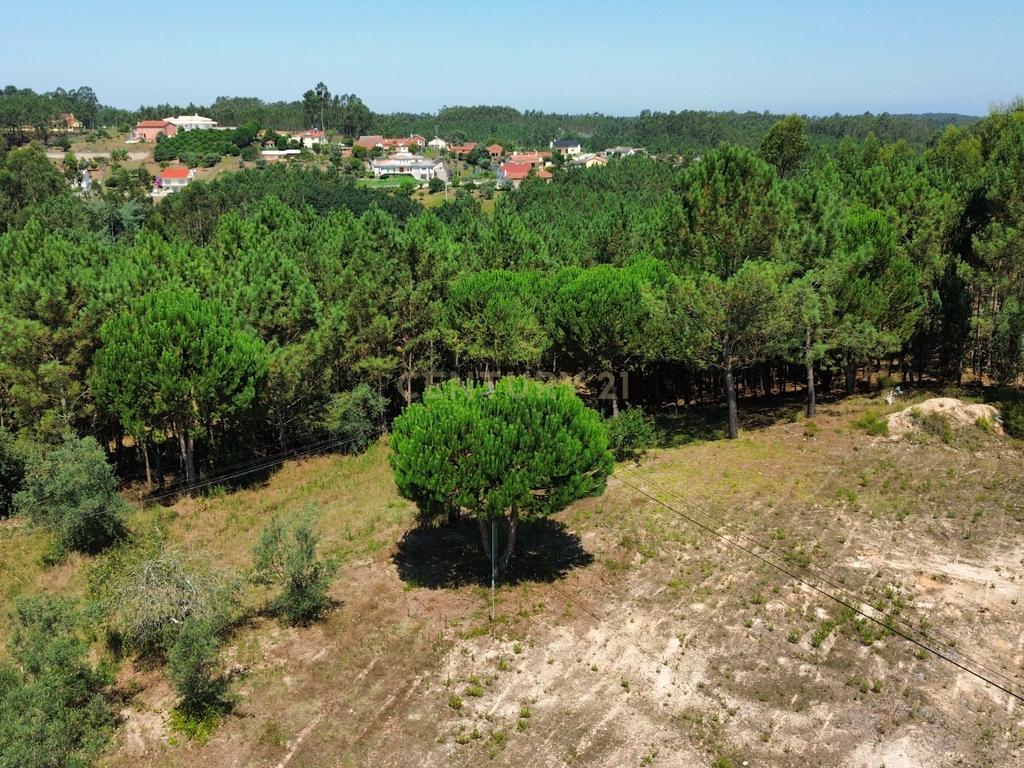 Terreno com 2020m2 para construção em Carnide - Image 19