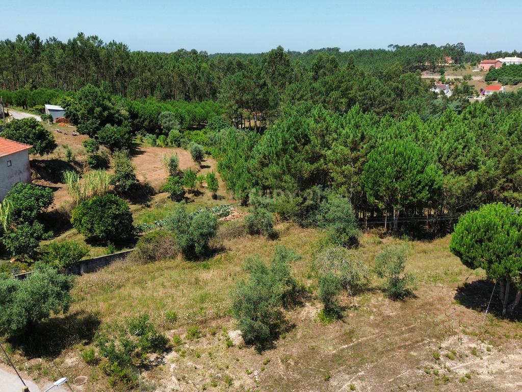 Terreno com 2020m2 para construção em Carnide - Image 20