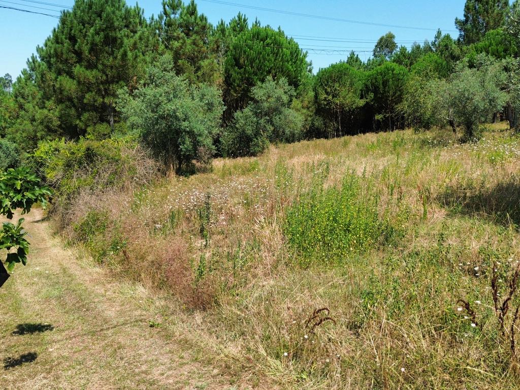 Terreno com 2020m2 para construção em Carnide - Image 49