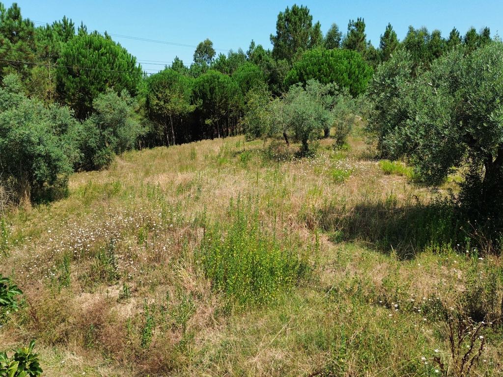 Terreno com 2020m2 para construção em Carnide - Image 50