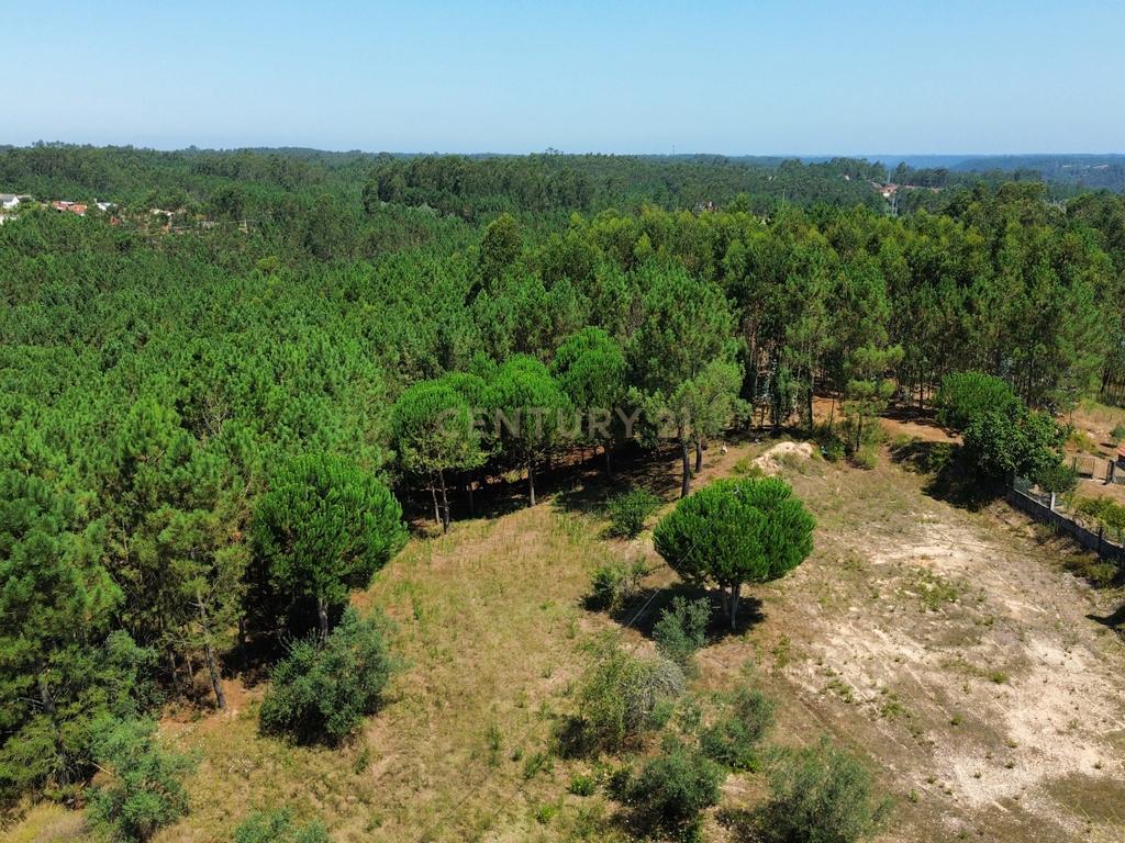 Terreno com 2020m2 para construção em Carnide - Image 51