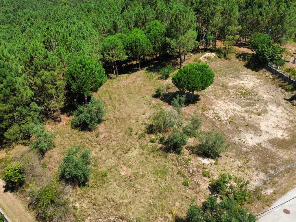 Terreno com 2020m2 para construção em Carnide - Image 52