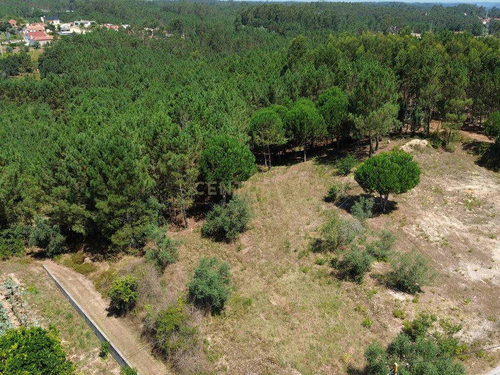 Terreno com 2020m2 para construção em Carnide - Image 55