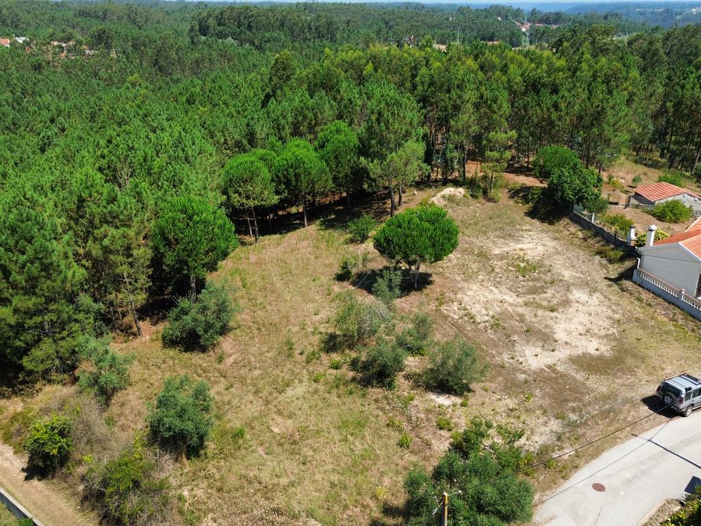 Terreno com 2020m2 para construção em Carnide - Image 7