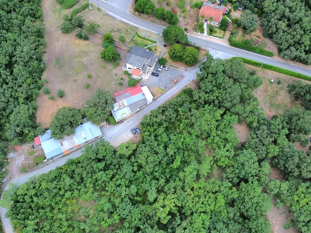 MORADIA T4 -ANSIÃO- com ARMAZÉM, anexos e 1ha terreno - Image 42