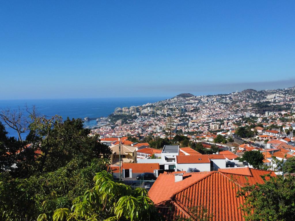 Terreno Urbano - Funchal - Vista Baía - Image 9
