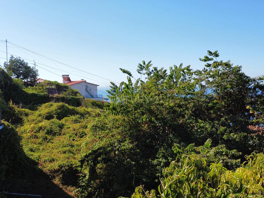 Terreno Urbano - Funchal - Vista Baía - Image 11