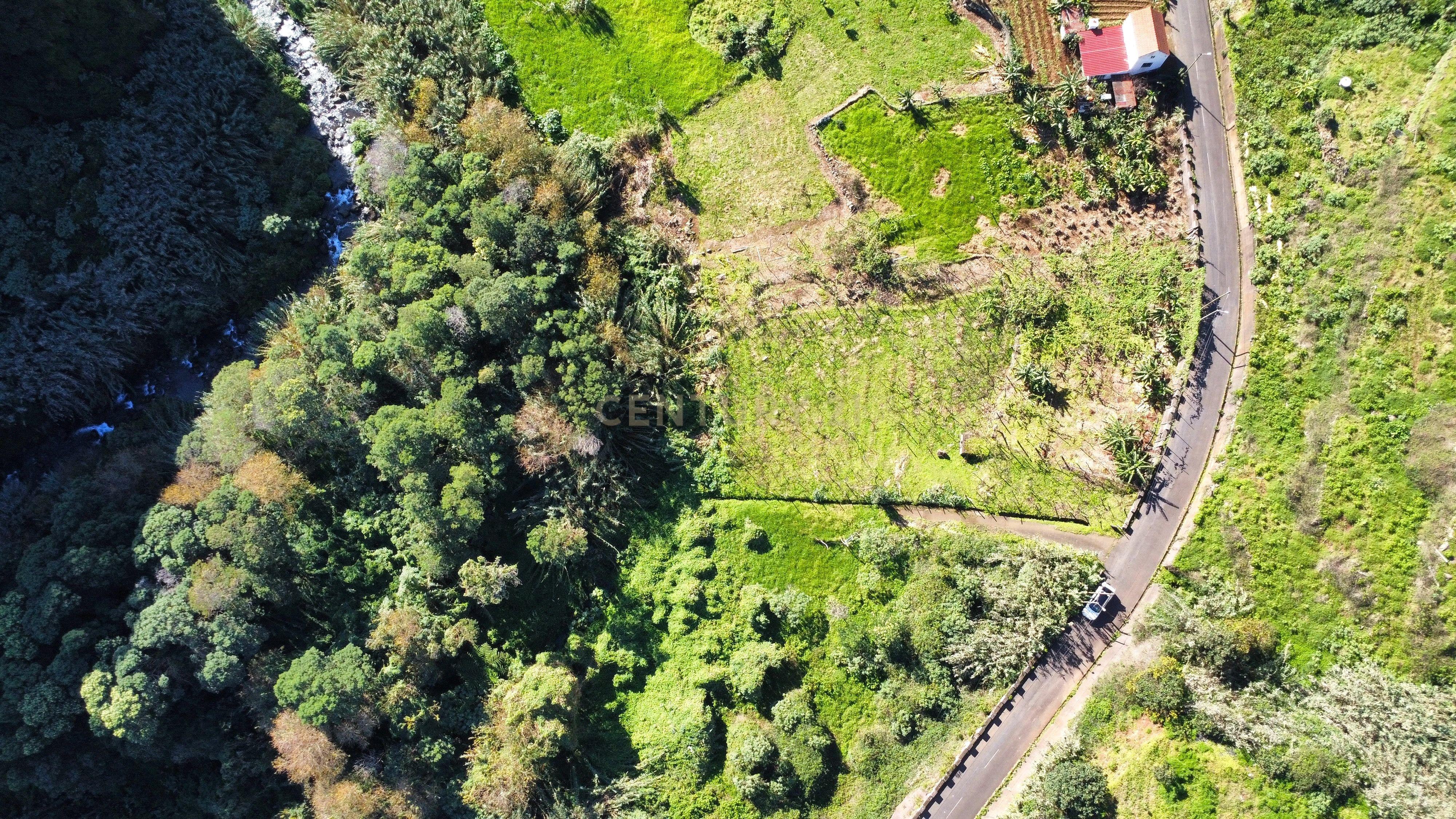 Terreno - São Jorge - Image 11