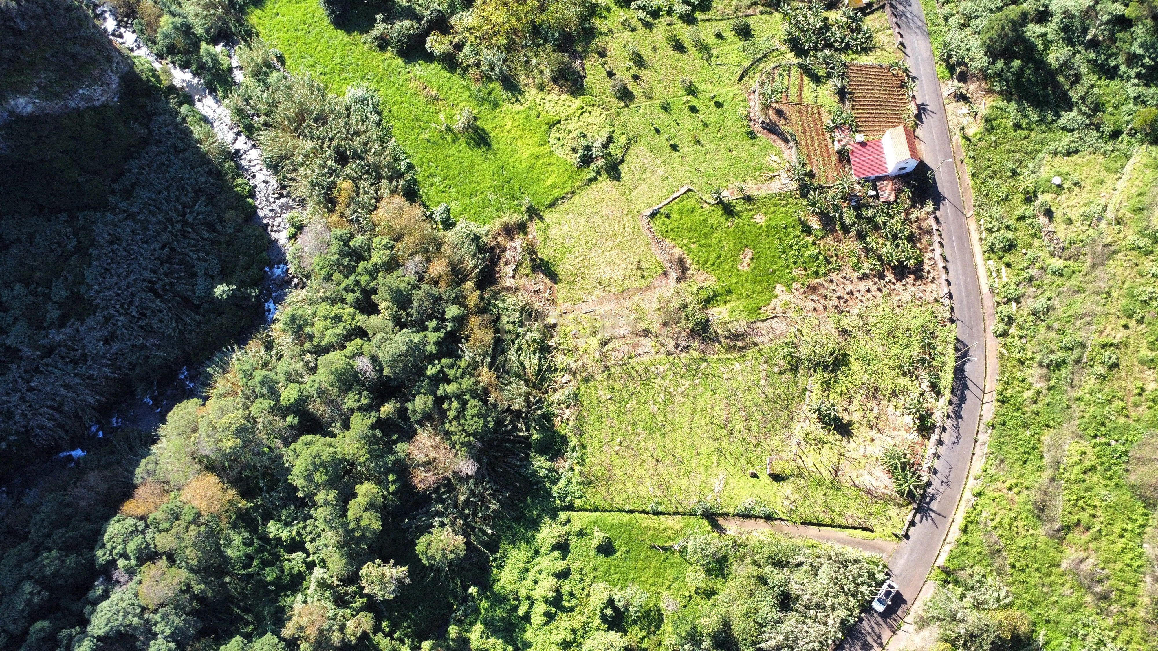 Terreno - São Jorge - Image 8