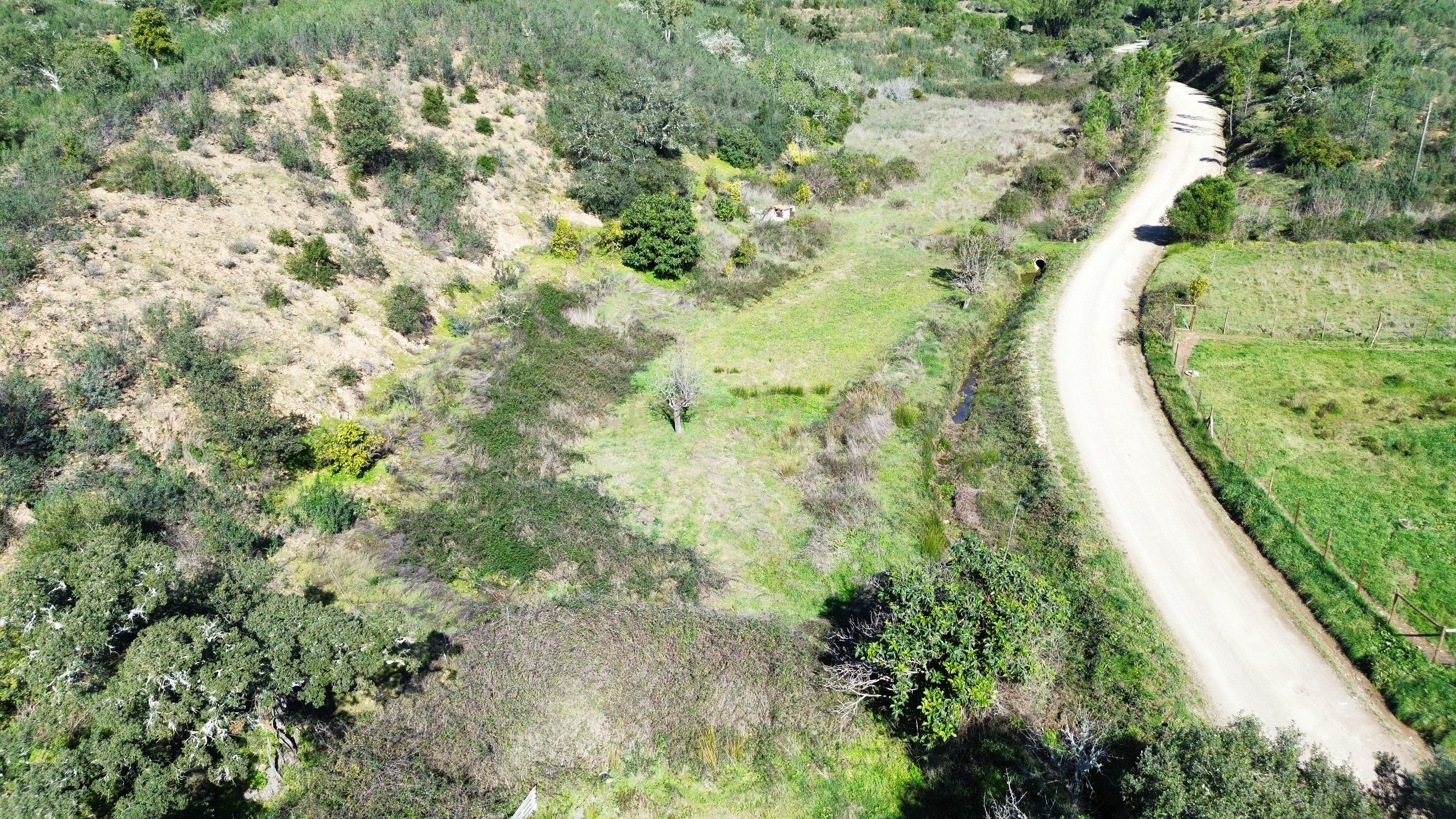 Moradia T3 | Renovada | Geminada| Vale Figueira – S.B.Messines | Terreno - Image 29