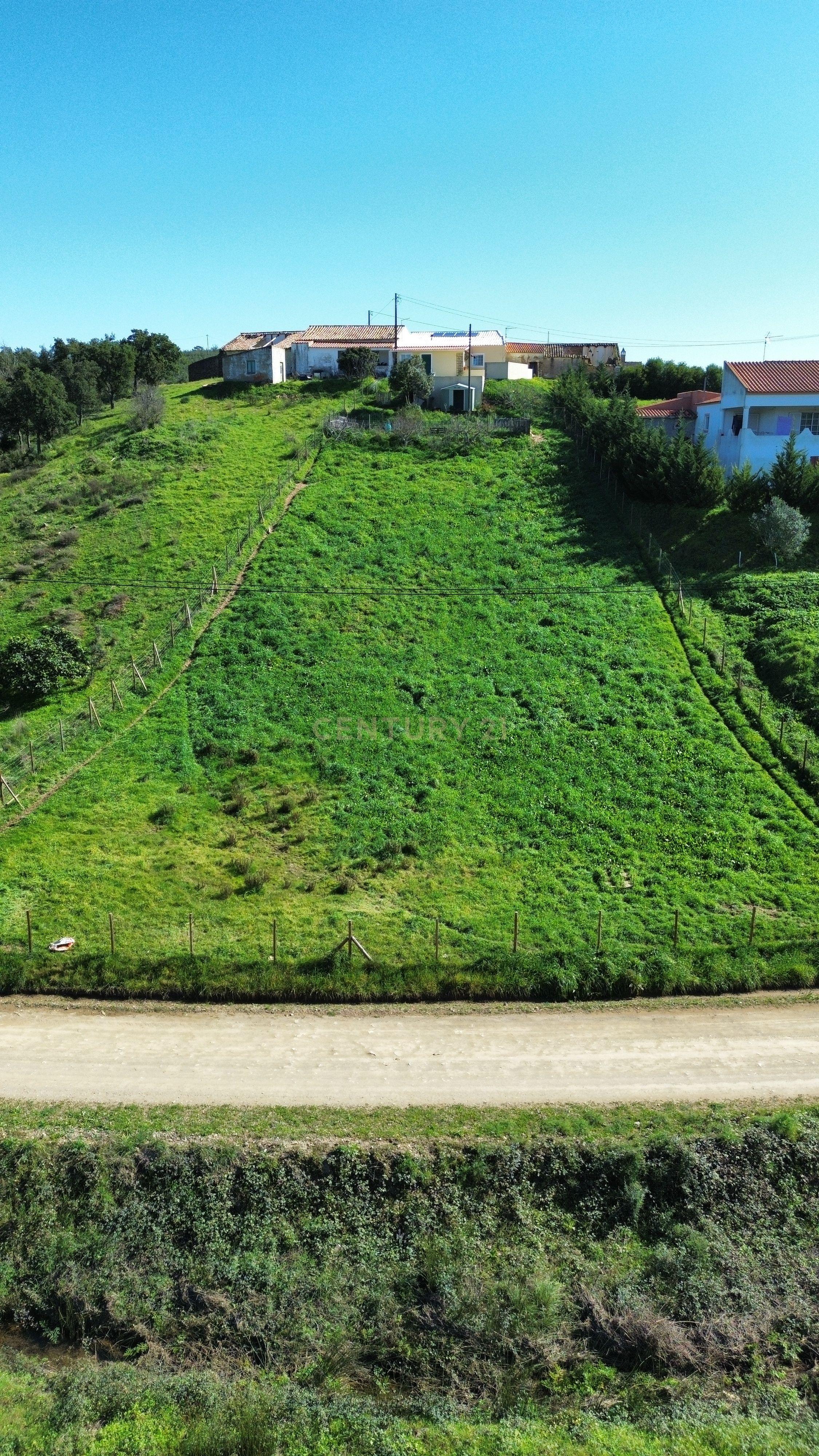 Moradia T3 | Renovada | Geminada| Vale Figueira – S.B.Messines | Terreno - Image 3