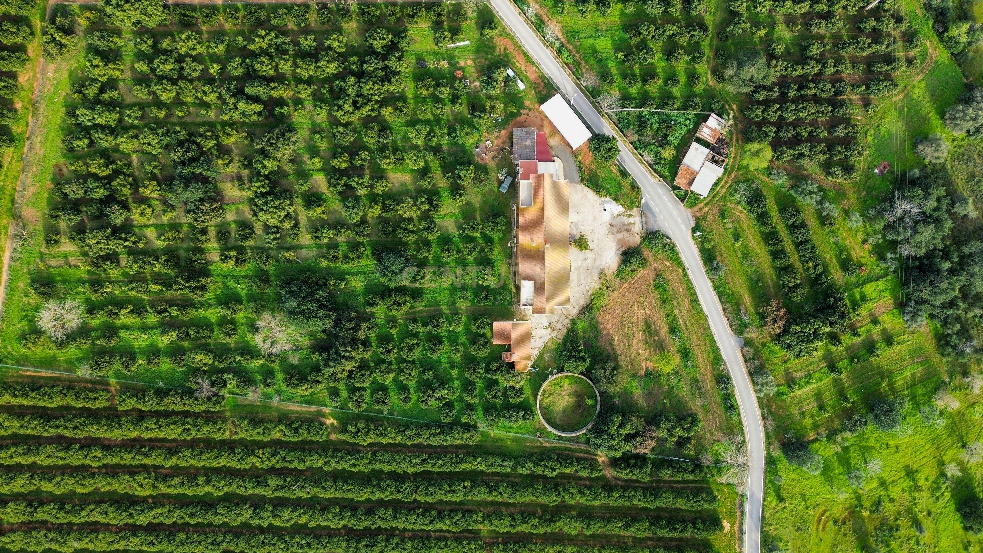Moradia T3 | Geminada | Pomar 9480m2 | Joinal – S.B.Messines | Armazém | Casa de Apoio T2 - Image 45