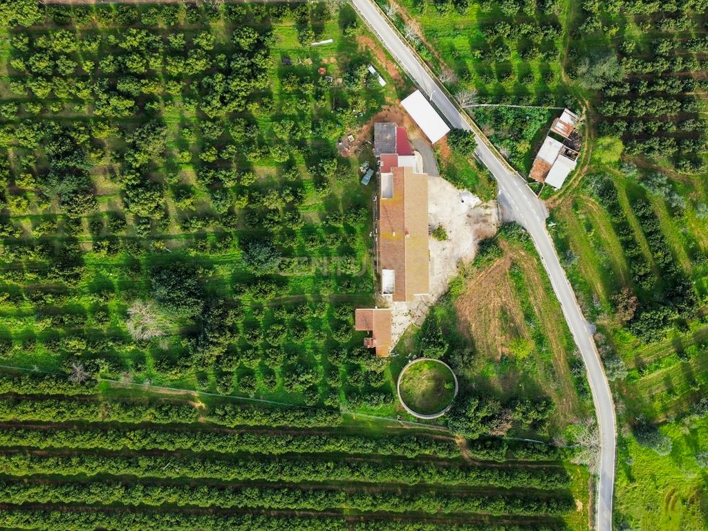Moradia T3 | Geminada | Pomar 9480m2 | Joinal – S.B.Messines | Armazém | Casa de Apoio T2 - Image 45