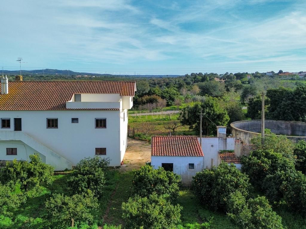 Moradia T3 | Geminada | Pomar 9480m2 | Joinal – S.B.Messines | Armazém | Casa de Apoio T2 - Image 53