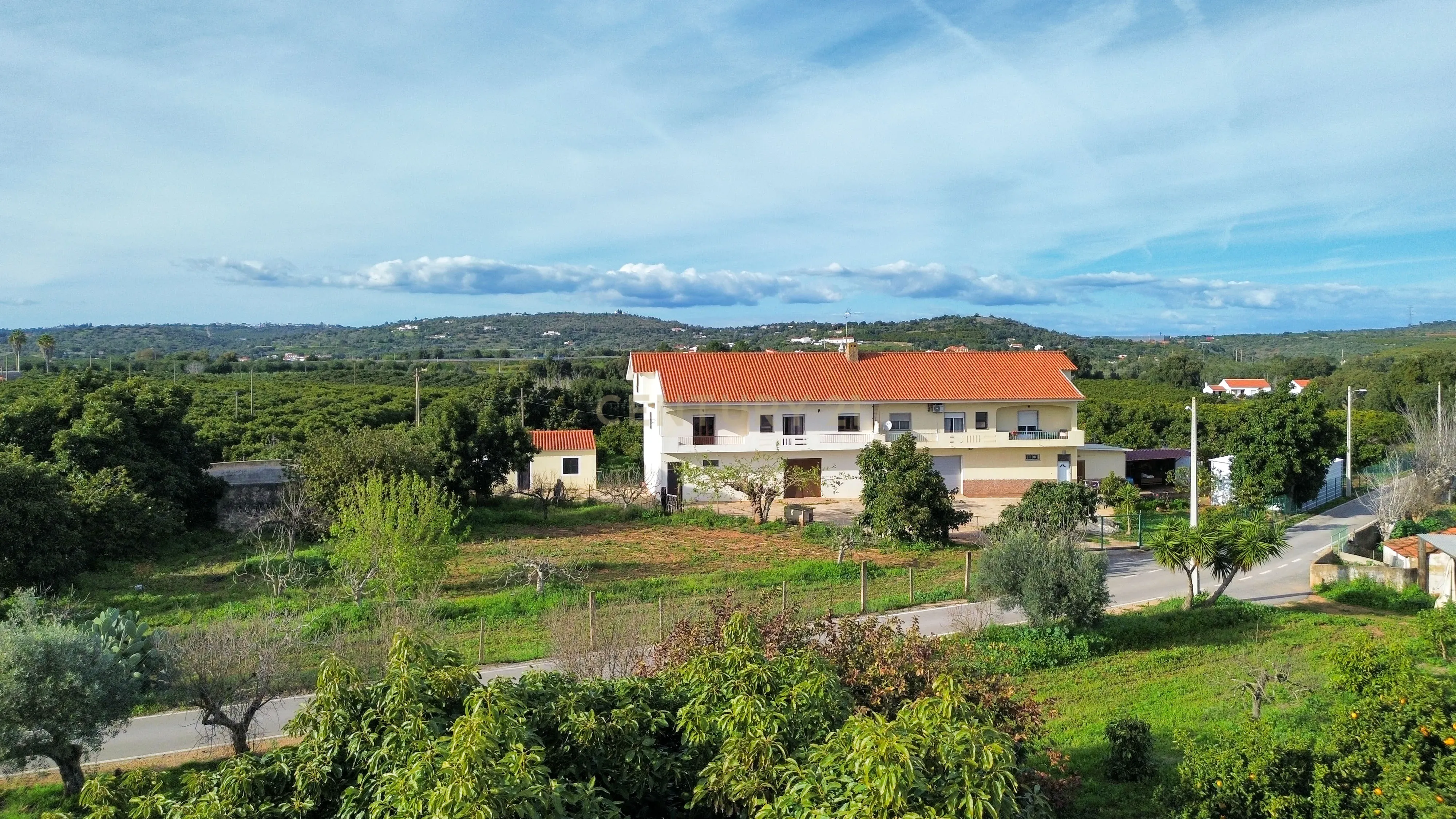 Moradia T3 | Geminada | Pomar 9480m2 | Joinal – S.B.Messines | Armazém | Casa de Apoio T2 - Image 60