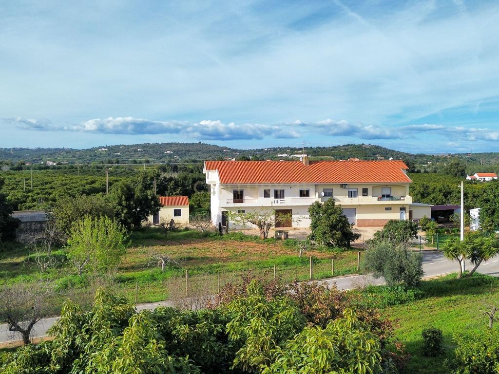 Moradia T3 | Geminada | Pomar 9480m2 | Joinal – S.B.Messines | Armazém | Casa de Apoio T2 - Image 60