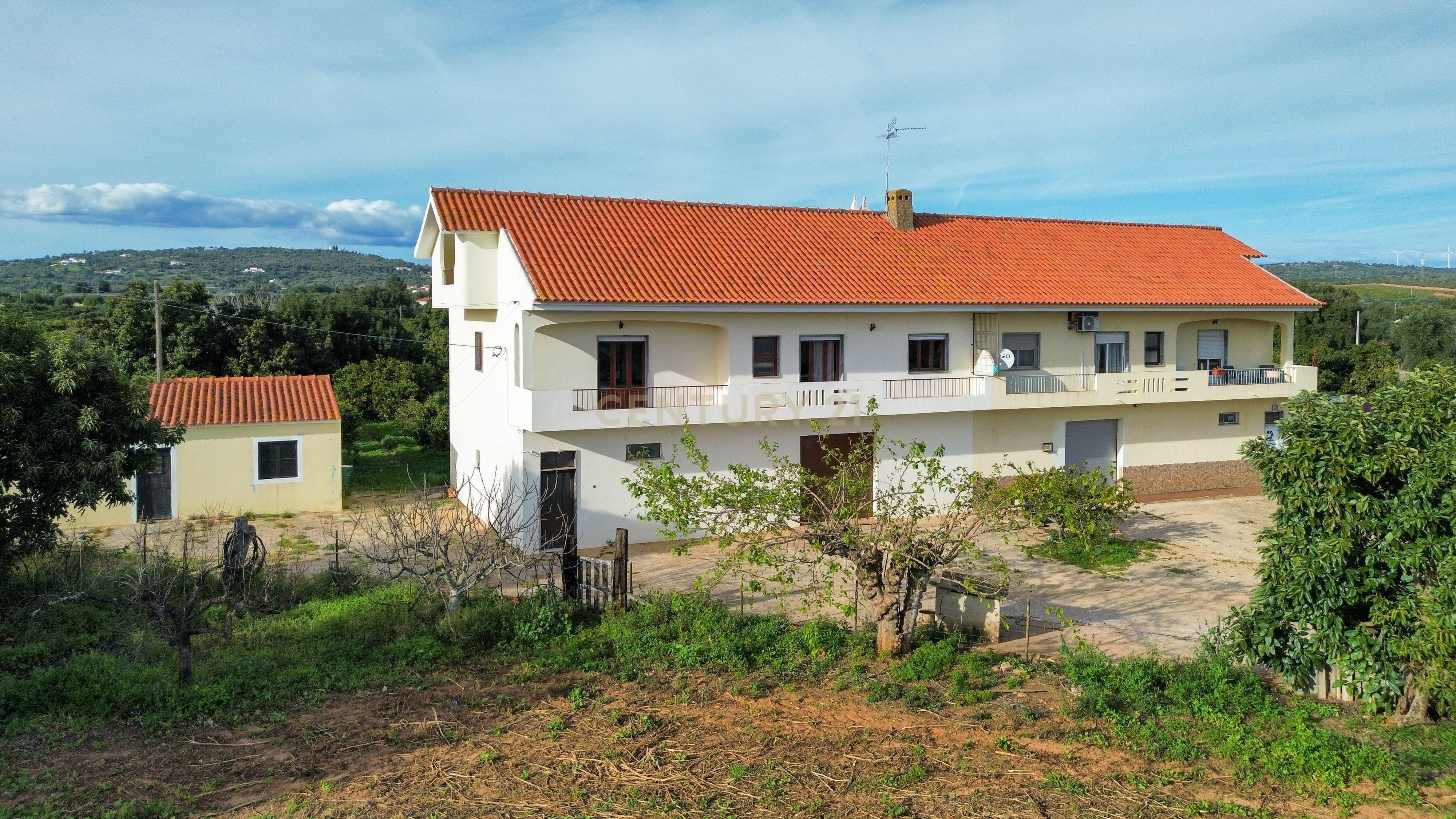 Moradia T3 | Geminada | Pomar 9480m2 | Joinal – S.B.Messines | Armazém | Casa de Apoio T2 - Image 51