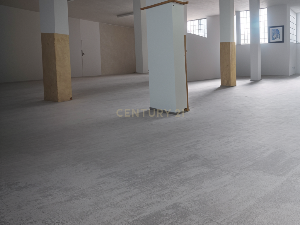 undefined - Image 16