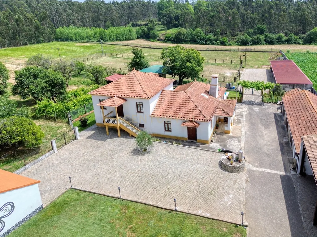 Quinta com 2 hectares em Ovar, Aveiro, a 40 min do Porto - Image 4