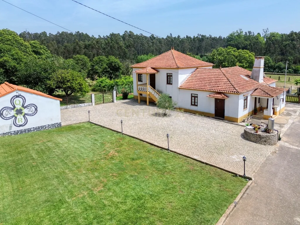 Quinta com 2 hectares em Ovar, Aveiro, a 40 min do Porto - Image 3