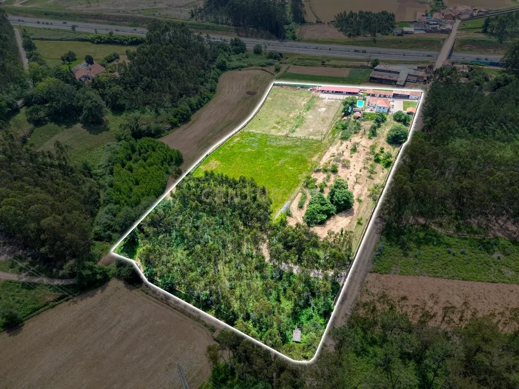 Quinta com 2 hectares em Ovar, Aveiro, a 40 min do Porto - Image 28