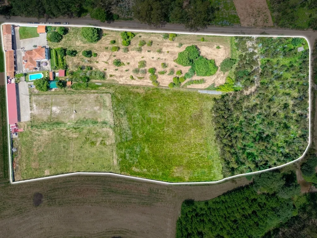 Quinta com 2 hectares em Ovar, Aveiro, a 40 min do Porto - Image 48