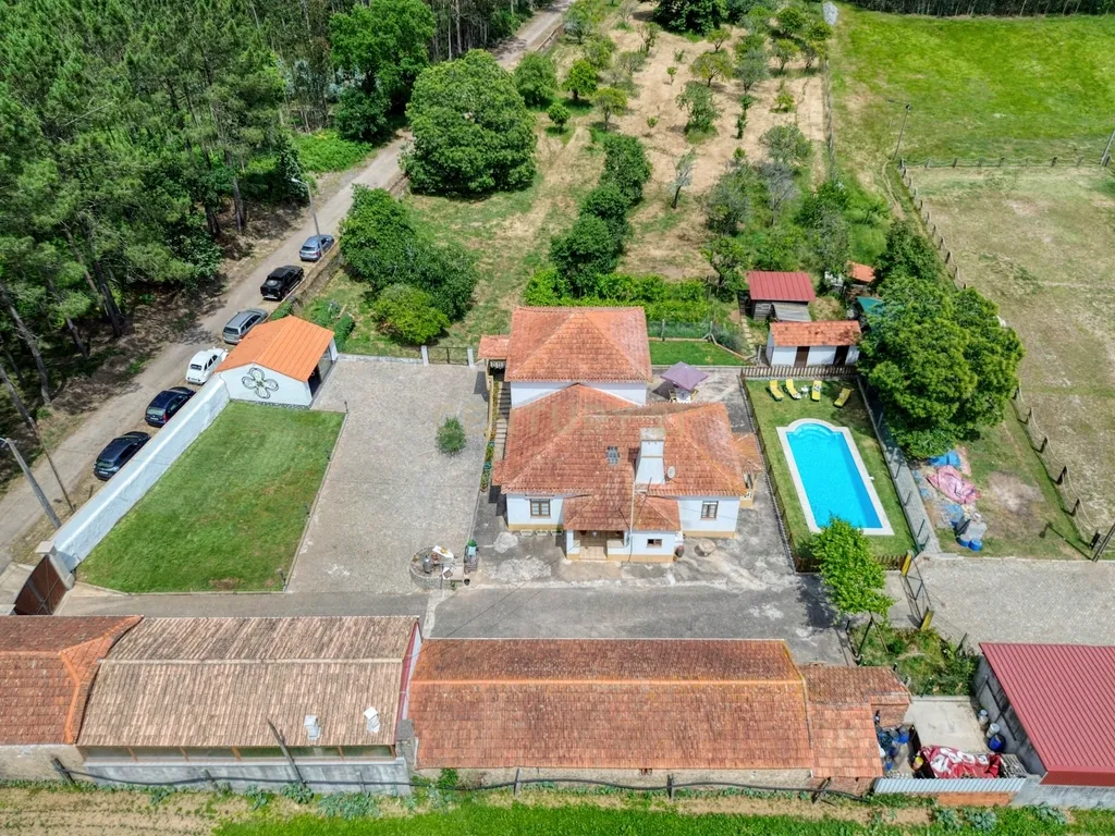 Quinta com 2 hectares em Ovar, Aveiro, a 40 min do Porto - Image 2
