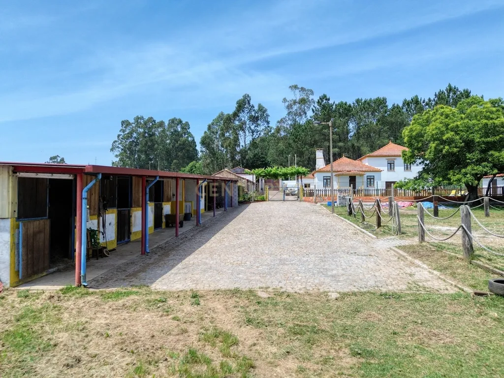 Quinta com 2 hectares em Ovar, Aveiro, a 40 min do Porto - Image 29