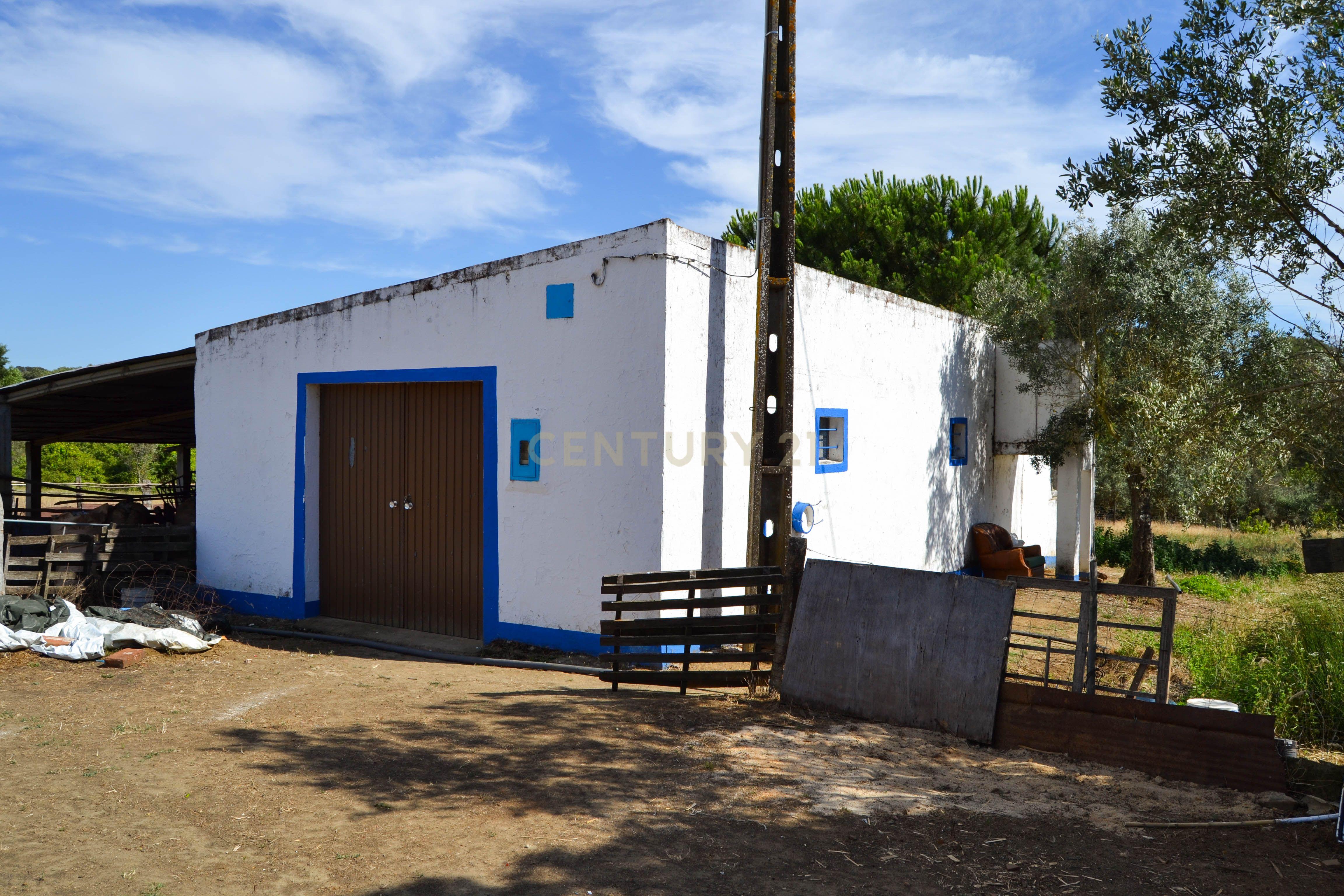 Quinta Courela da Mina - Image 3