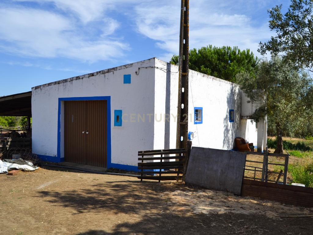 Quinta Courela da Mina - Image 3
