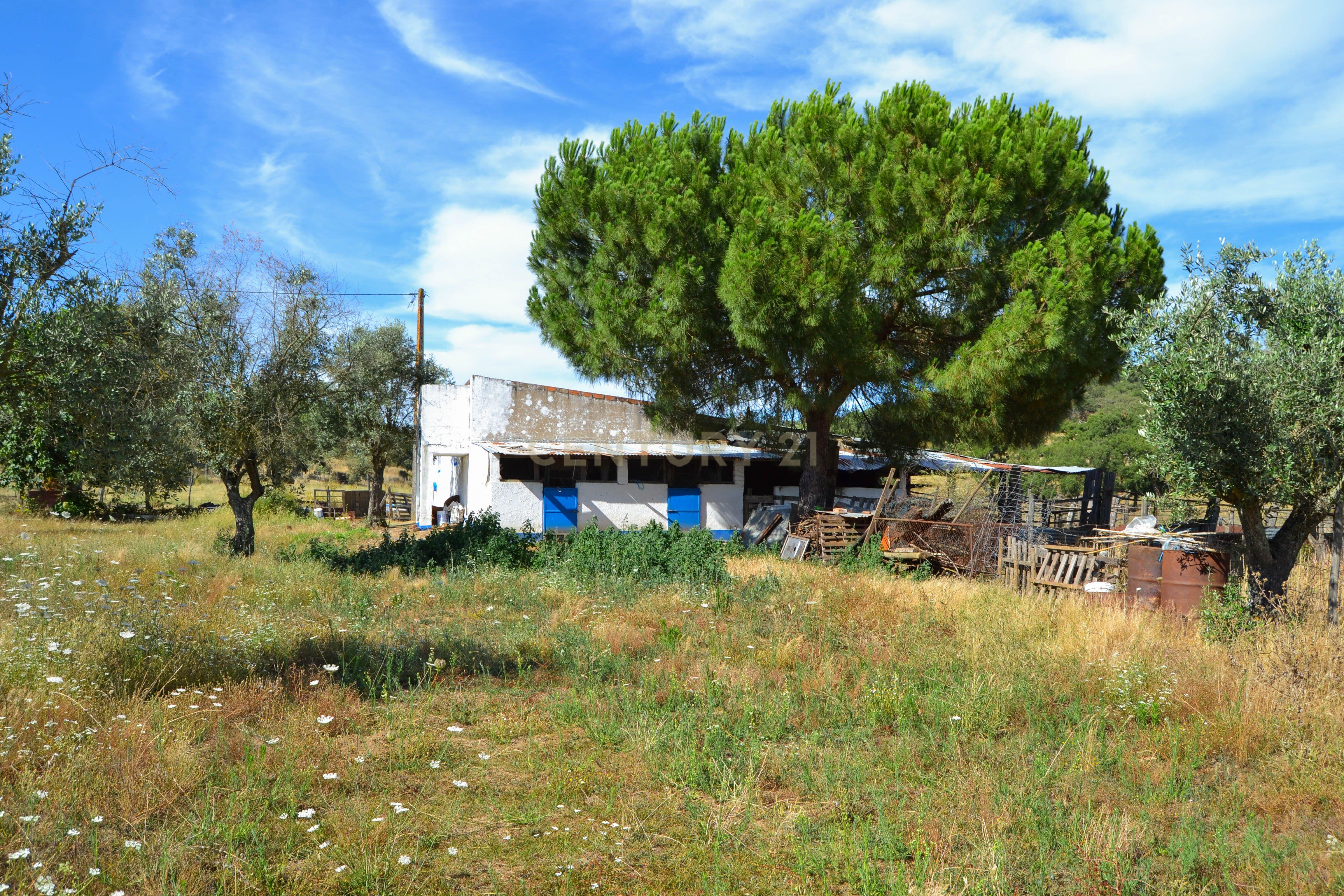 Quinta Courela da Mina - Image 4