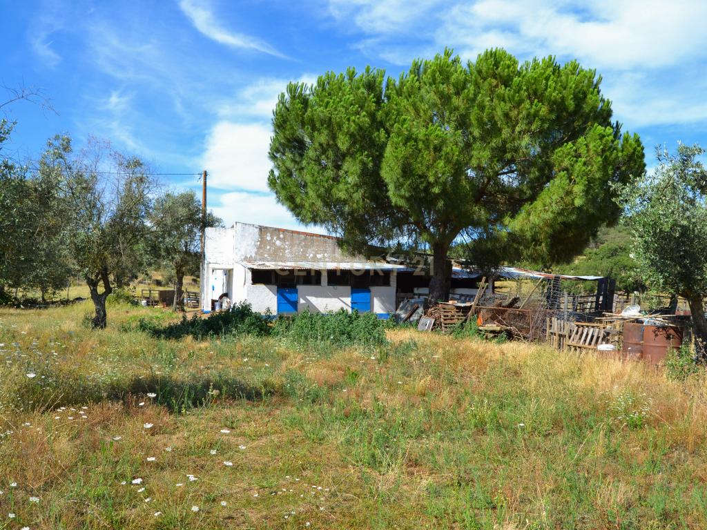 Quinta Courela da Mina - Image 4