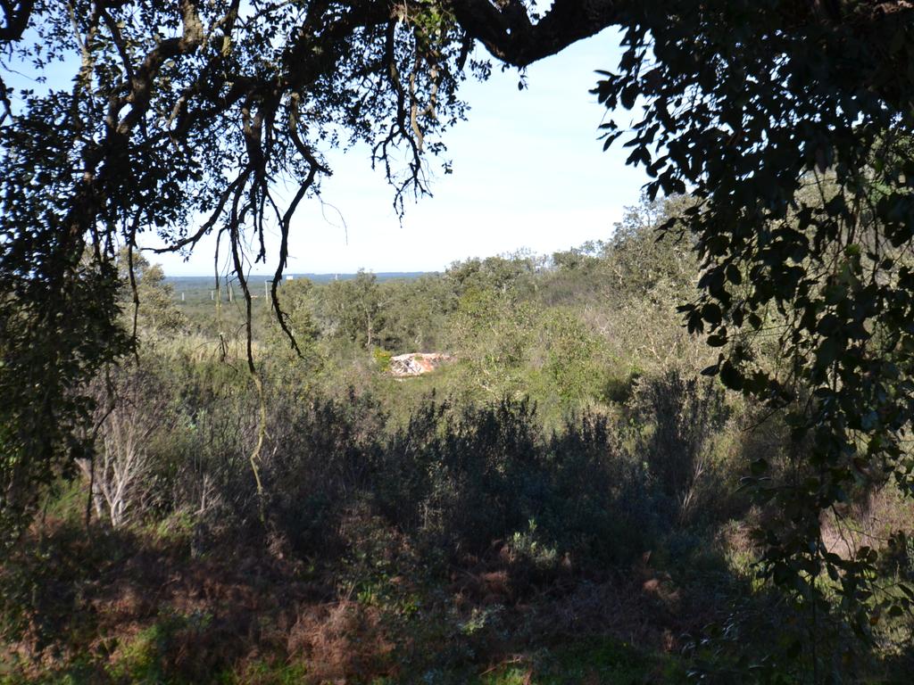 Terreno Rústico e Urbano com mais de 4 hectares na Barranquinha | Porto Corvo | Sines para venda - Image 24