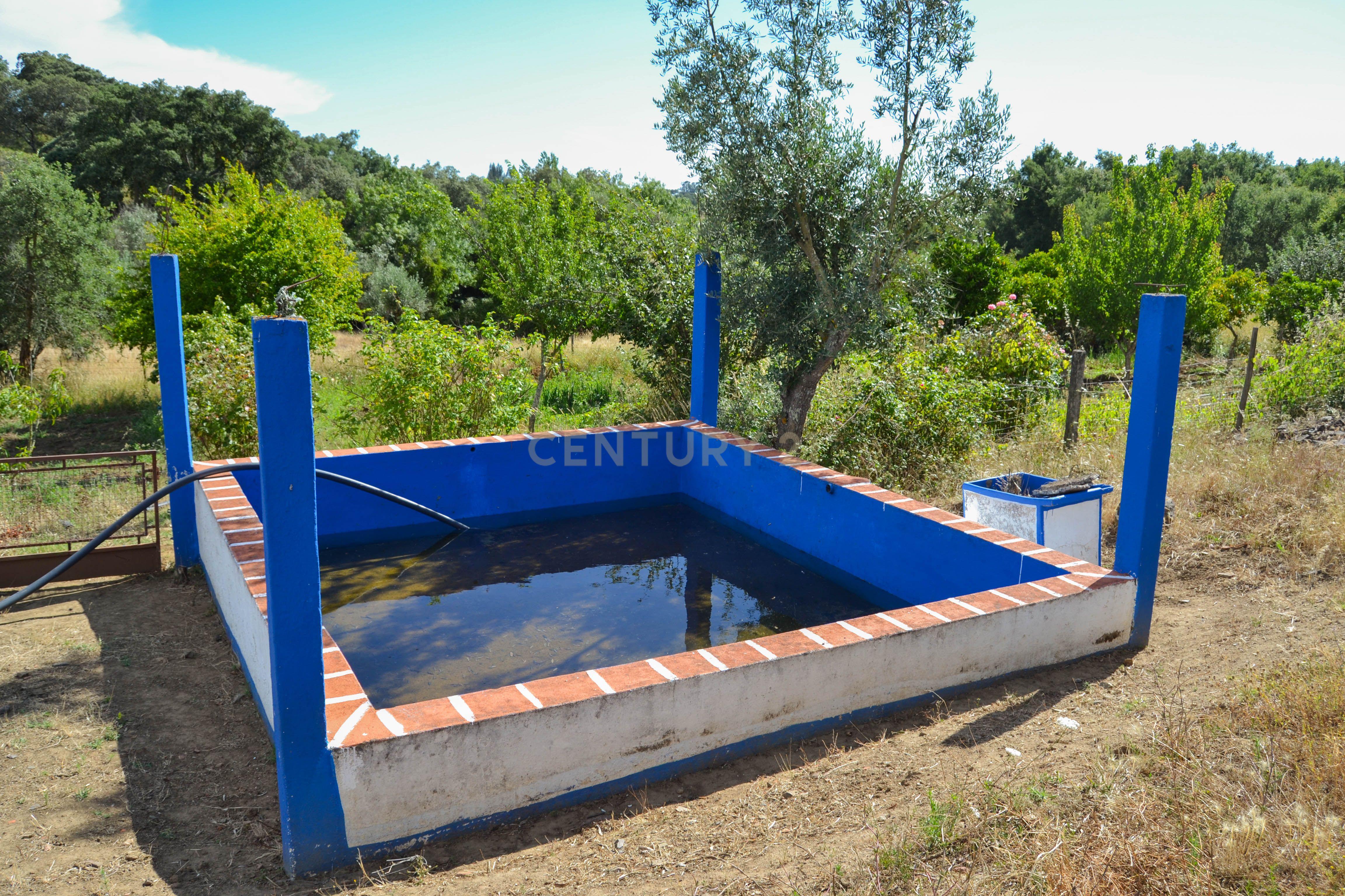 Quinta Courela da Mina - Image 5