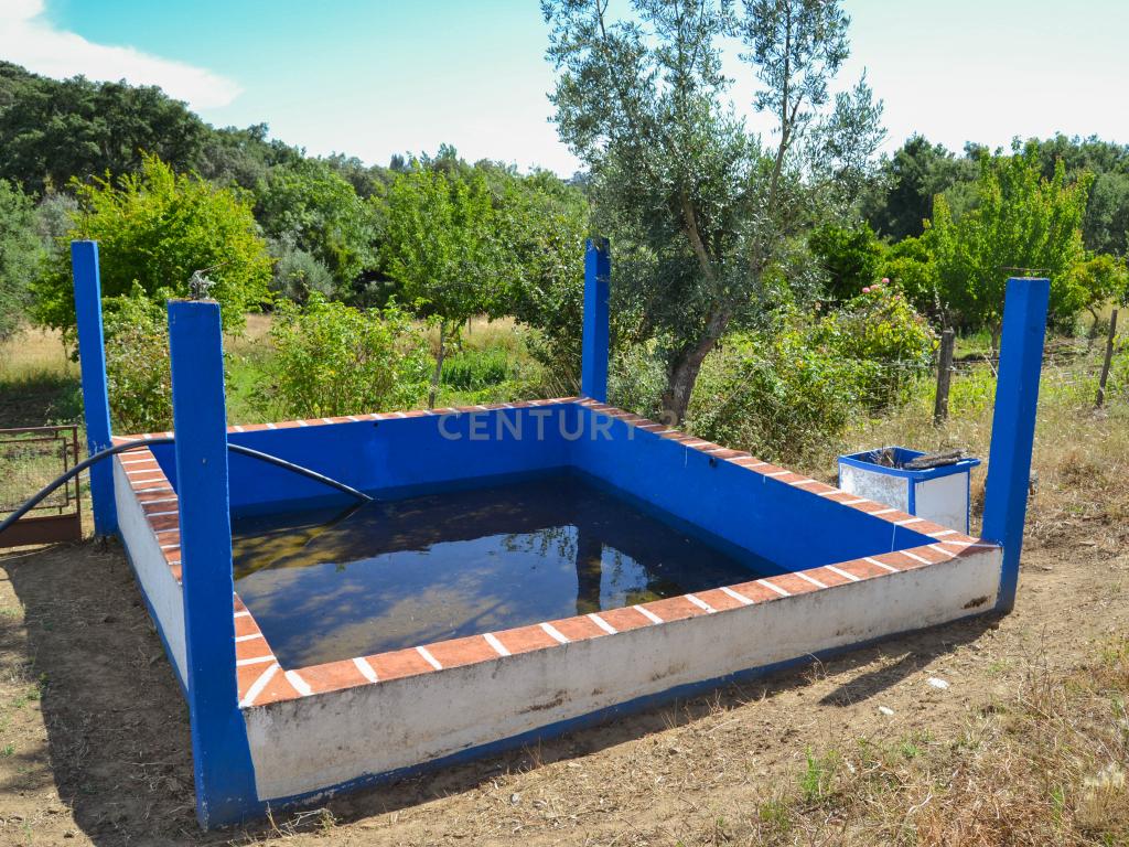 Quinta Courela da Mina - Image 5