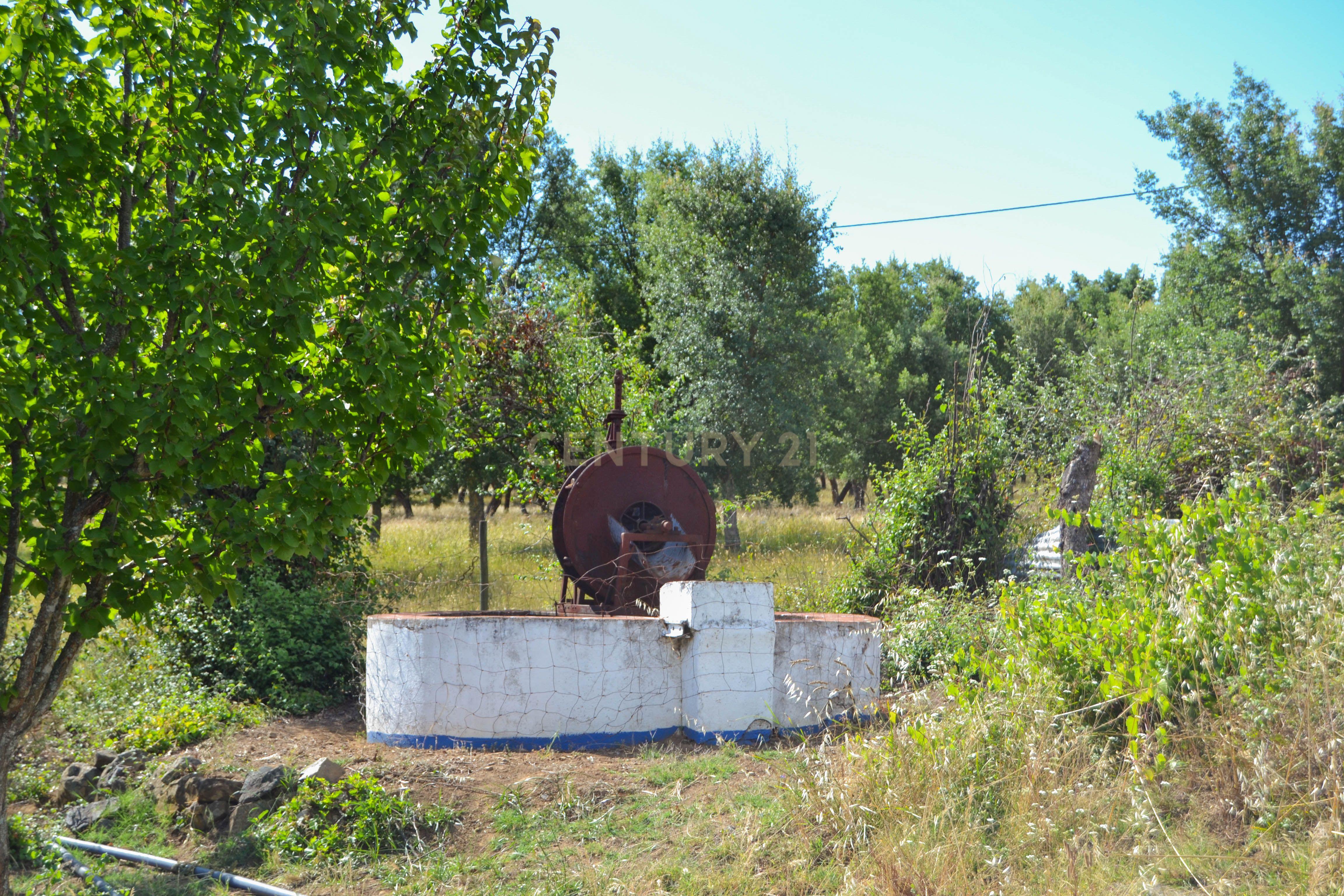 Quinta Courela da Mina - Image 13