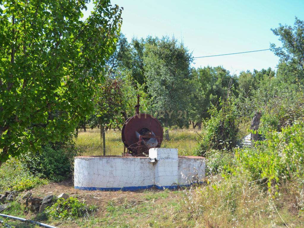 Quinta Courela da Mina - Image 13