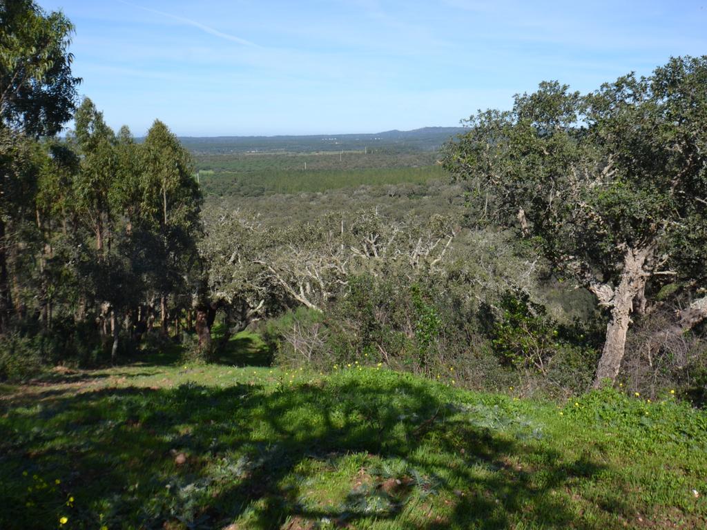 Terreno Rústico e Urbano com mais de 4 hectares na Barranquinha | Porto Corvo | Sines para venda - Image 23