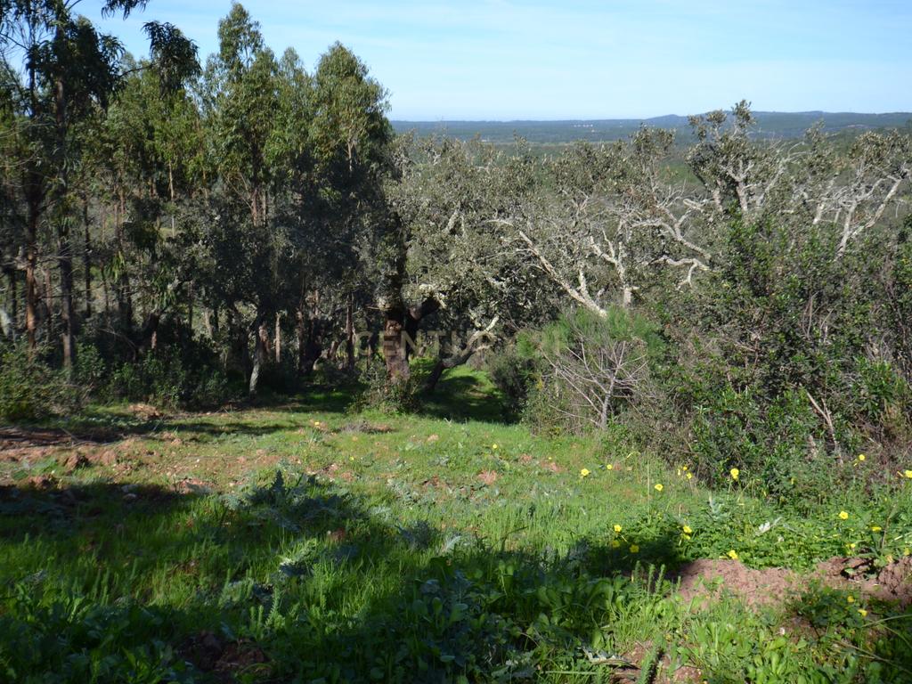 Terreno Rústico e Urbano com mais de 4 hectares na Barranquinha | Porto Corvo | Sines para venda - Image 18