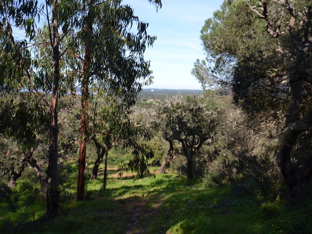 Terreno Rústico e Urbano com mais de 4 hectares na Barranquinha | Porto Corvo | Sines para venda - Image 14