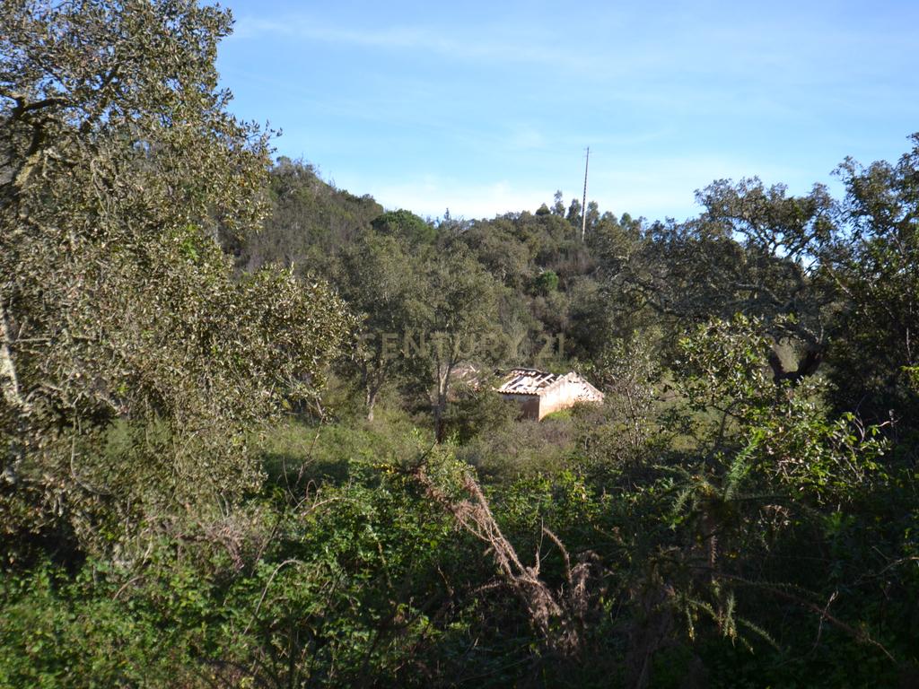 Terreno Rústico e Urbano com mais de 4 hectares na Barranquinha | Porto Corvo | Sines para venda - Image 16