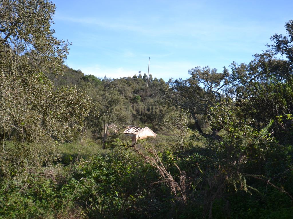 Terreno Rústico e Urbano com mais de 4 hectares na Barranquinha | Porto Corvo | Sines para venda - Image 1
