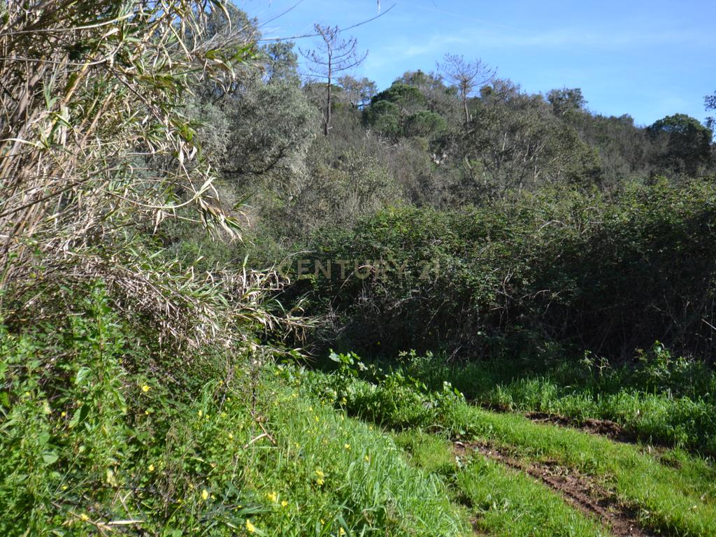 Terreno Rústico e Urbano com mais de 4 hectares na Barranquinha | Porto Corvo | Sines para venda - Image 25