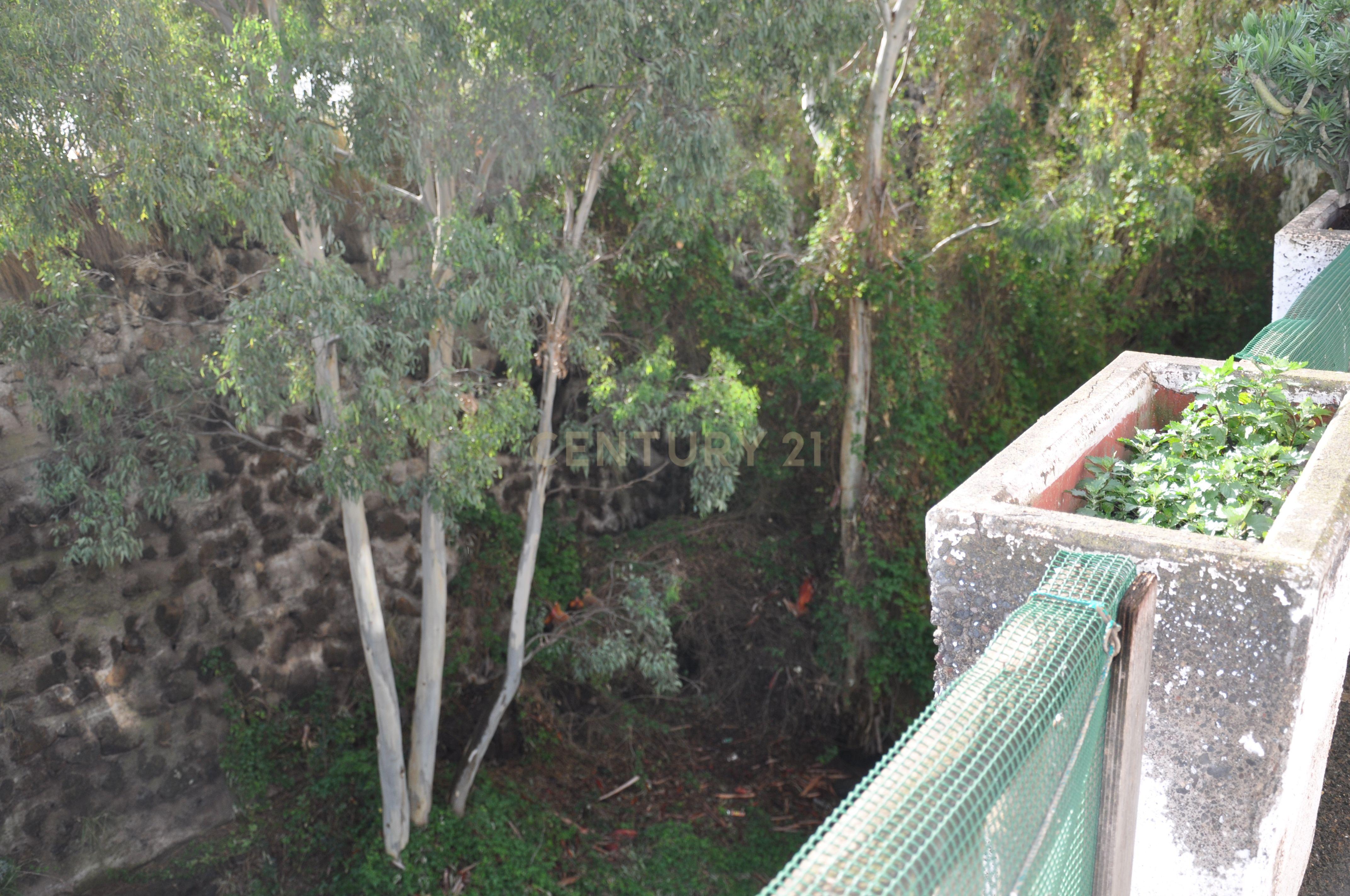 undefined - Image 19