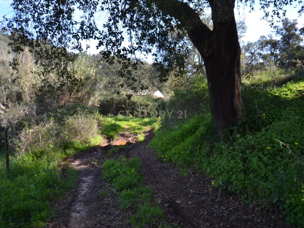 Terreno Rústico e Urbano com mais de 4 hectares na Barranquinha | Porto Corvo | Sines para venda - Image 3