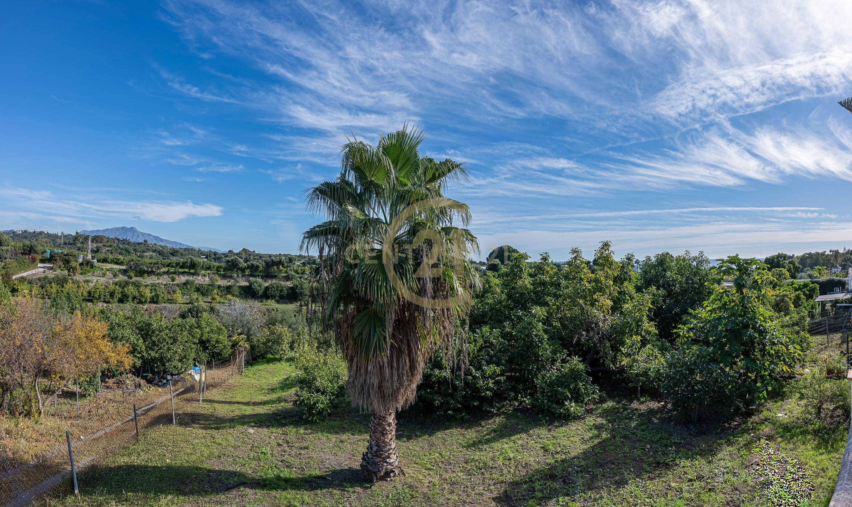 MORADIA ISOLADA CAMINO DE ALBERDINA, ESTEPONA - Image 25